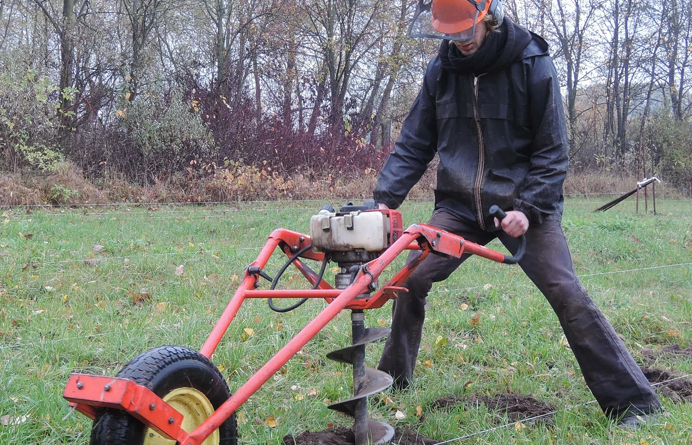 Operator using a wheeled earth auger for afforestation and planting holes