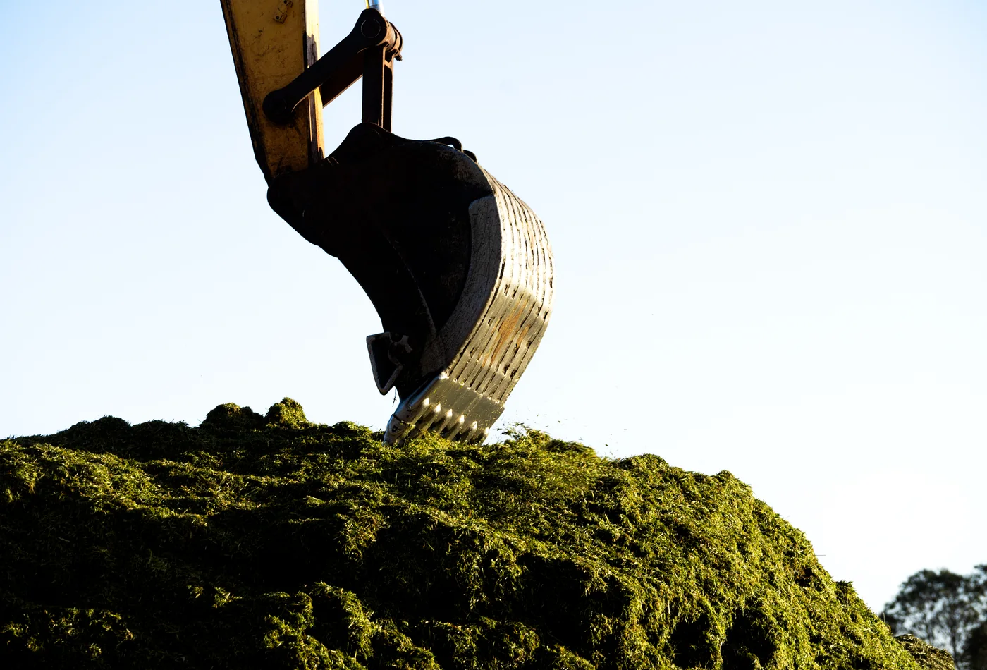 Excavator bucket handling a large compost or green-material stockpile